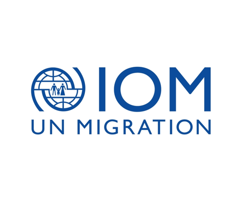 Uluslararası Göç Örgütü - IOM